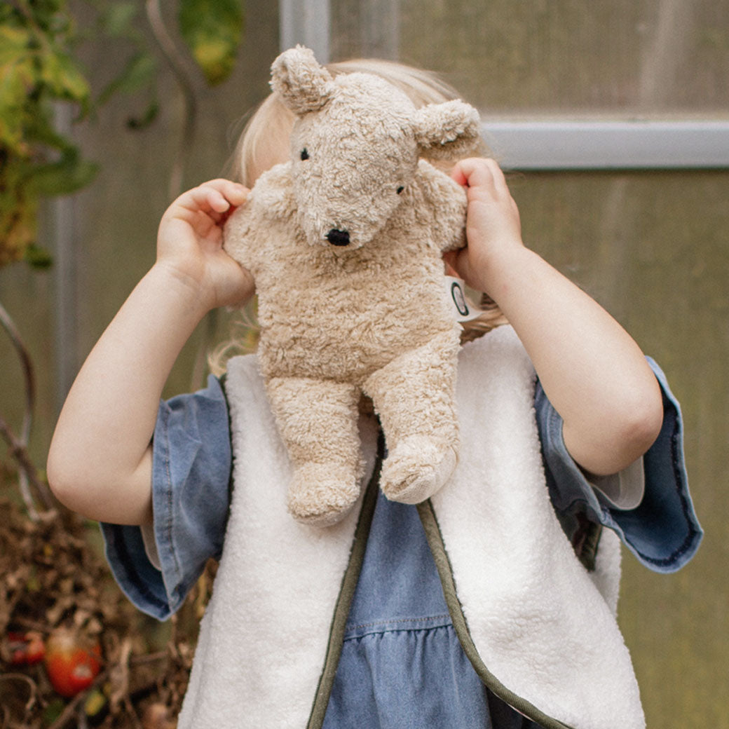 Organic Bear Cuddly Animal