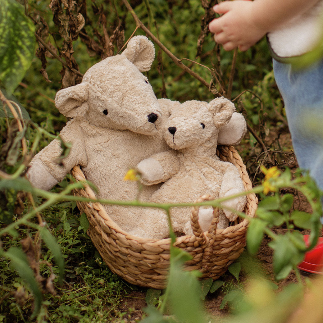 Organic Bear Cuddly Animal