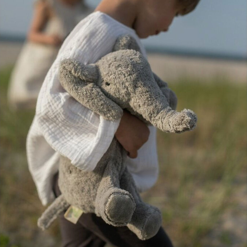 Organic Cuddly Animal