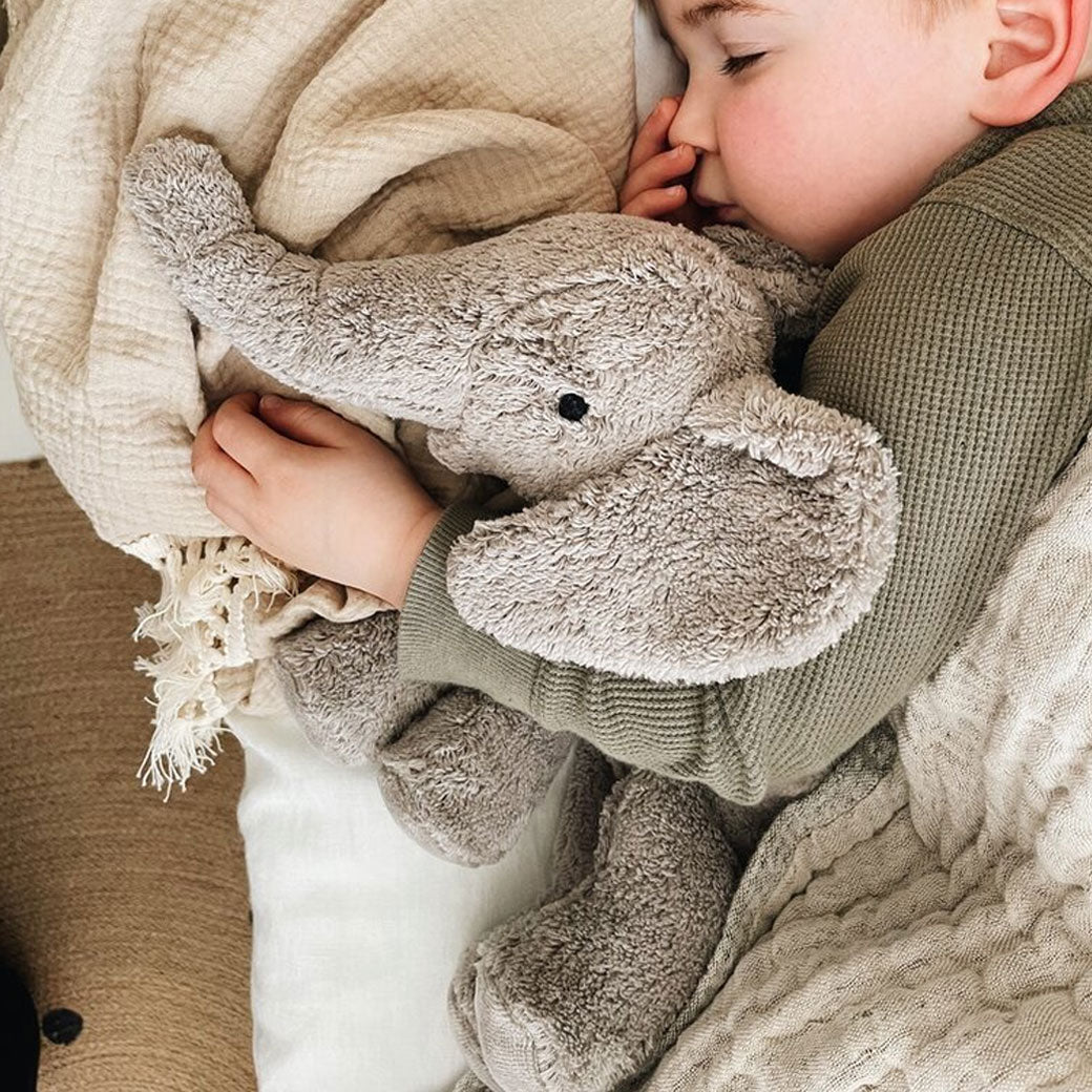 Organic Cuddly Animal