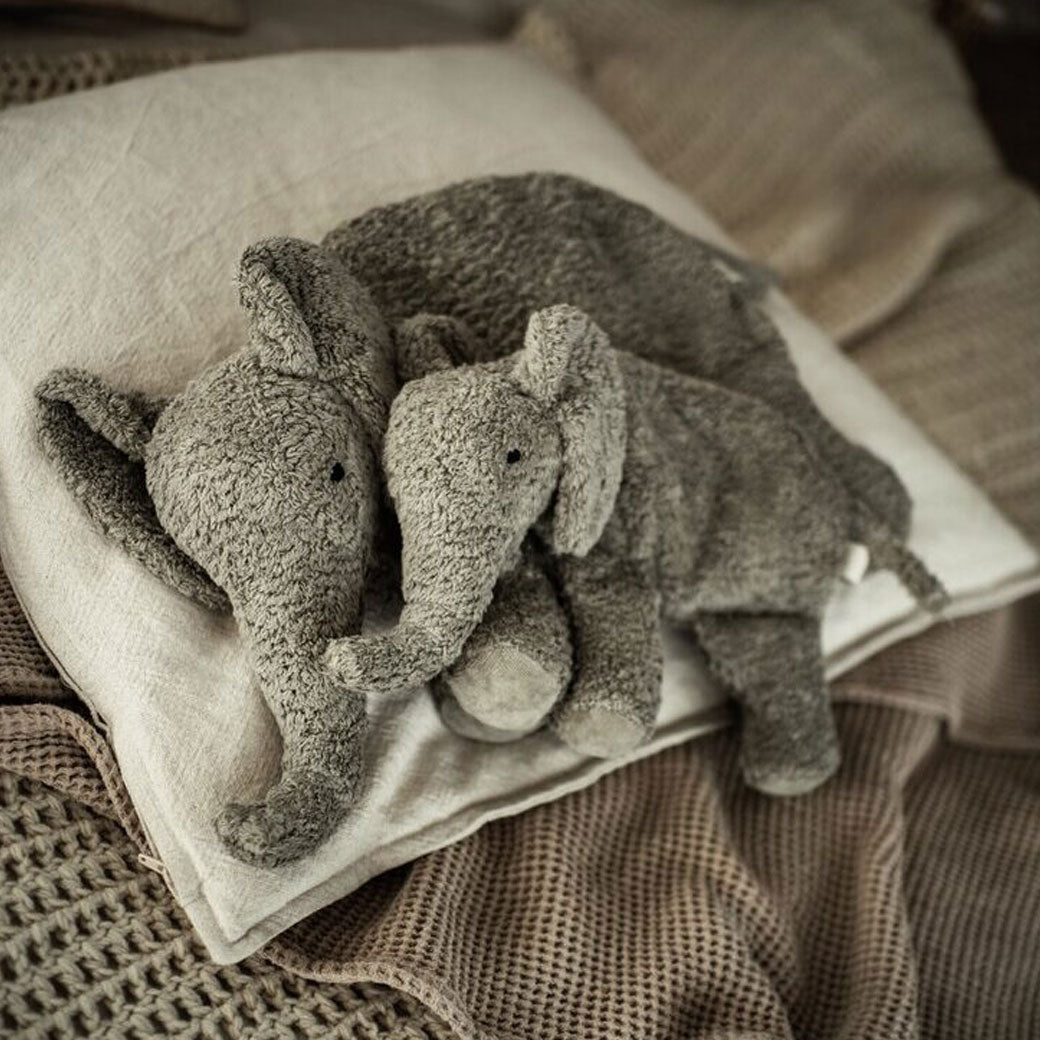 Organic Cuddly Animal