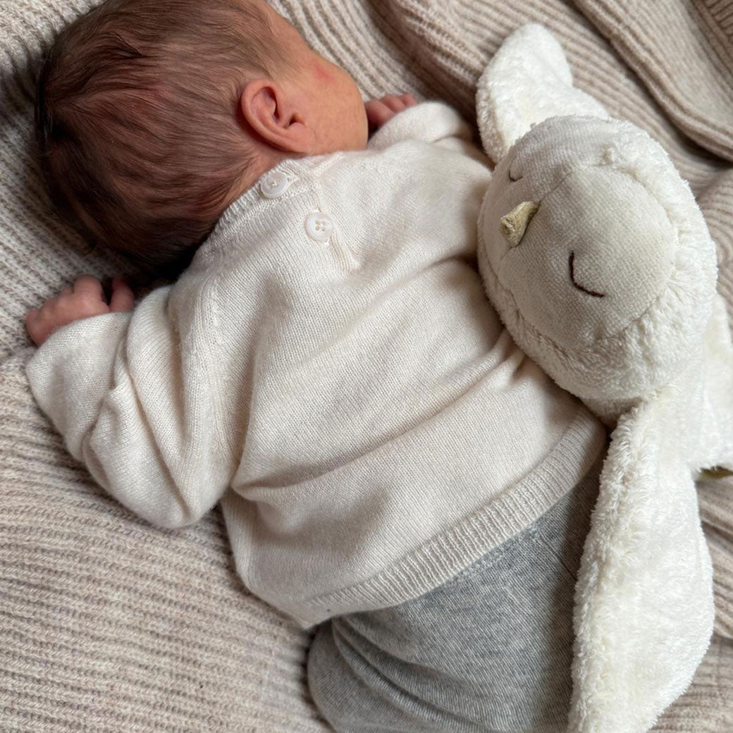 Organic Cuddly Animal