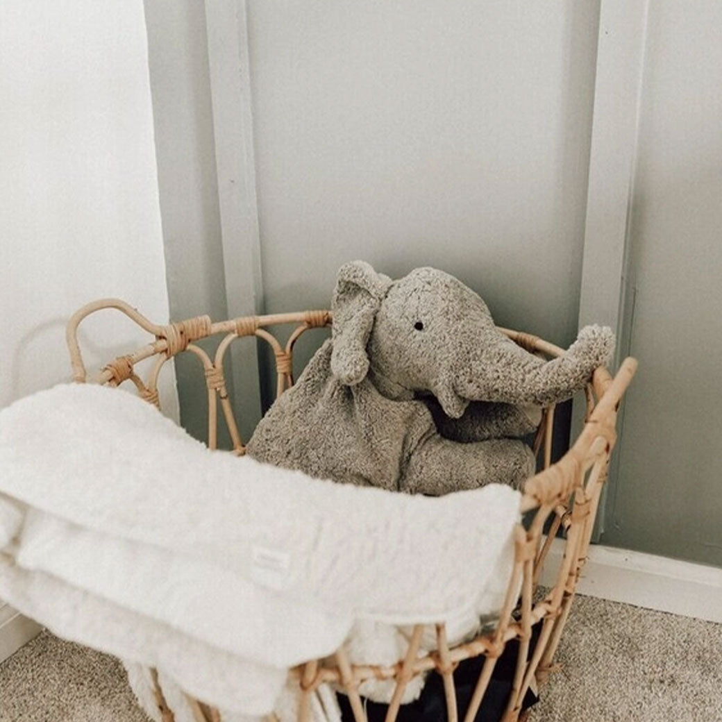 Organic Elephant Cuddly Animal