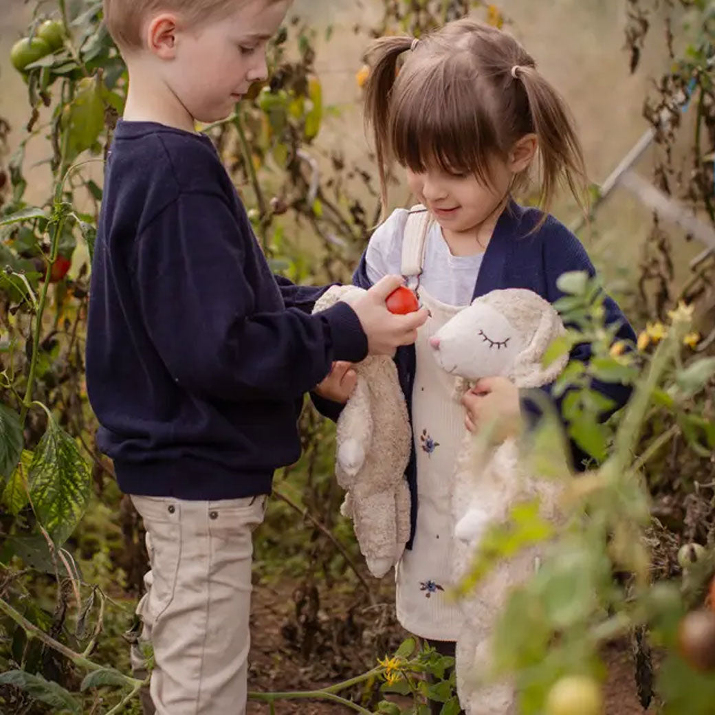 Organic Sheep Cuddly Animal