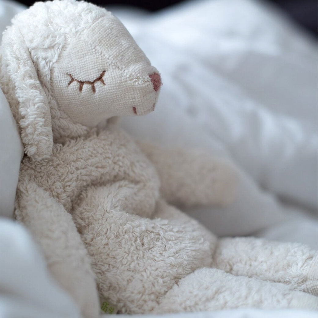 Organic Sheep Cuddly Animal