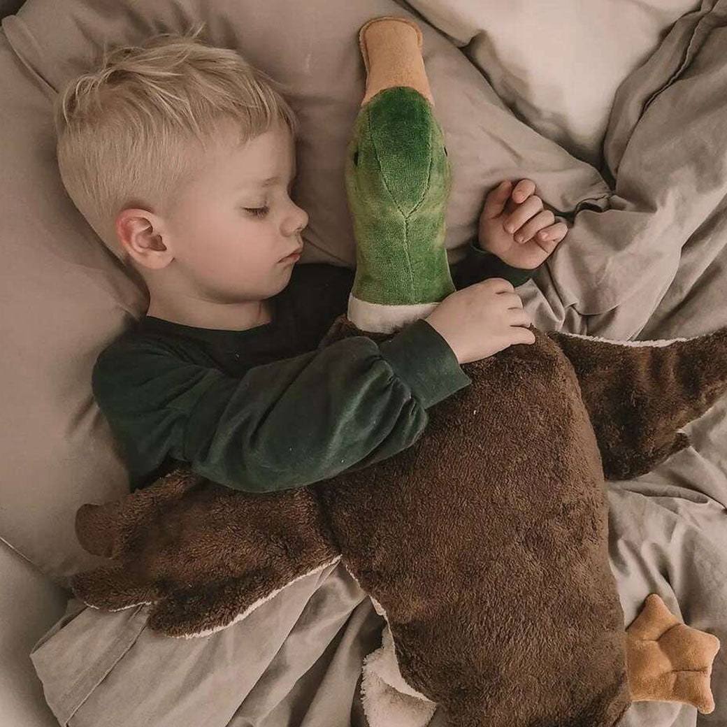 Organic Cuddly Animal