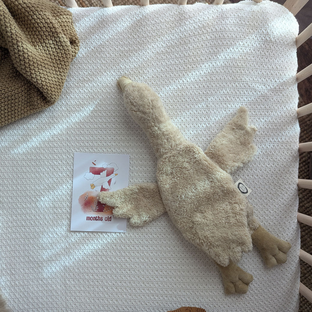 Organic Goose Cuddly Animal