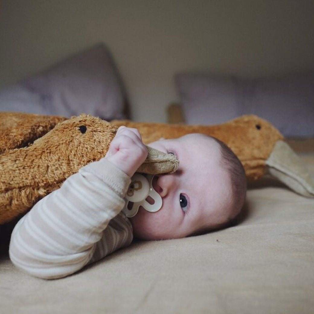 Organic Goose Cuddly Animal