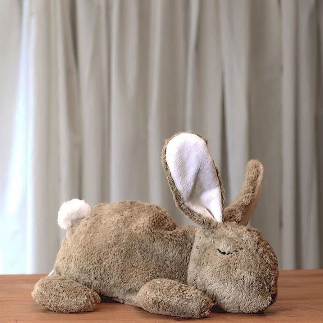 Organic Rabbit Cuddly Animal