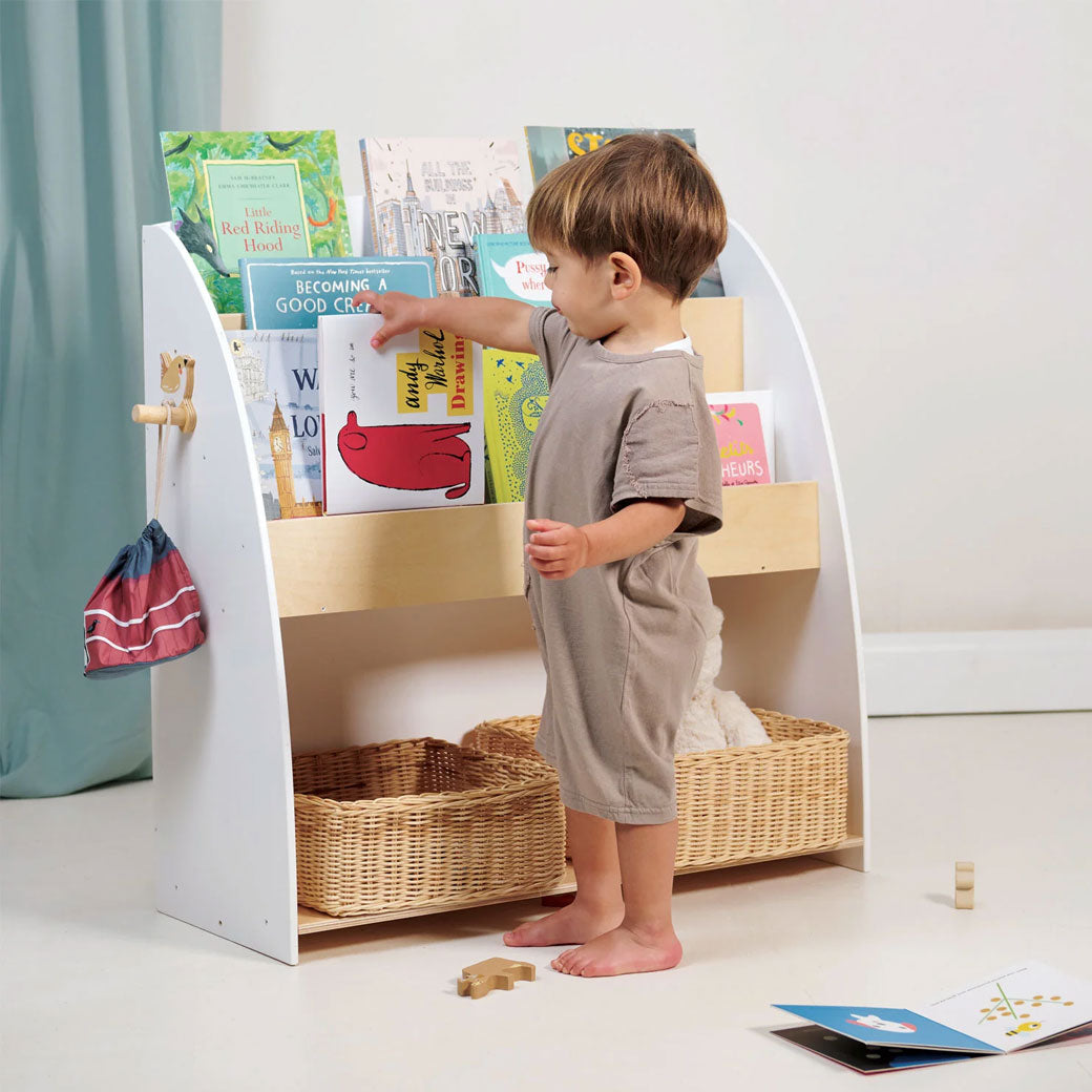 Forest Bookcase