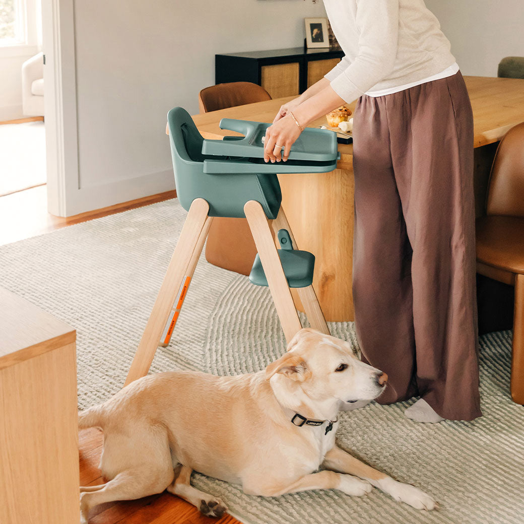 Ciro V2 High Chair