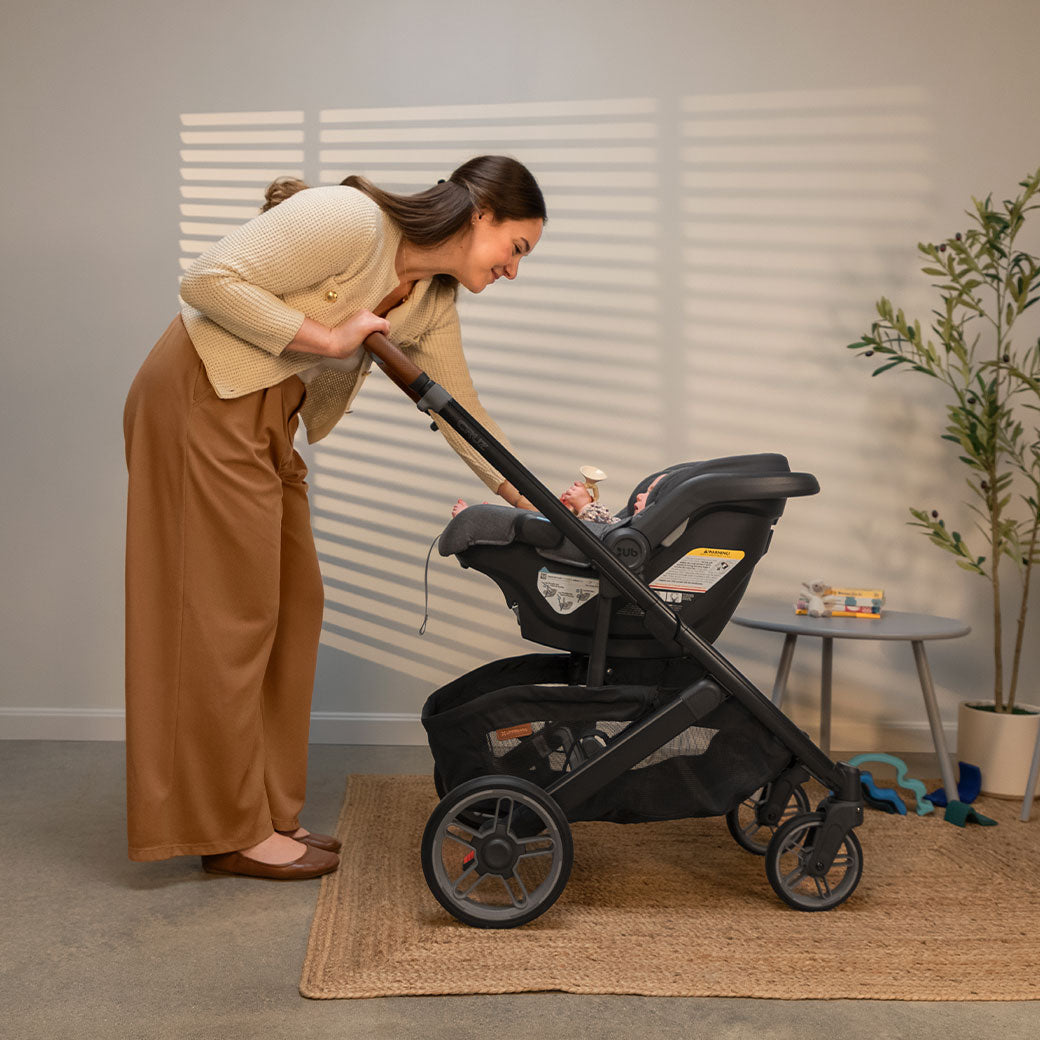 Cruz V3 Stroller