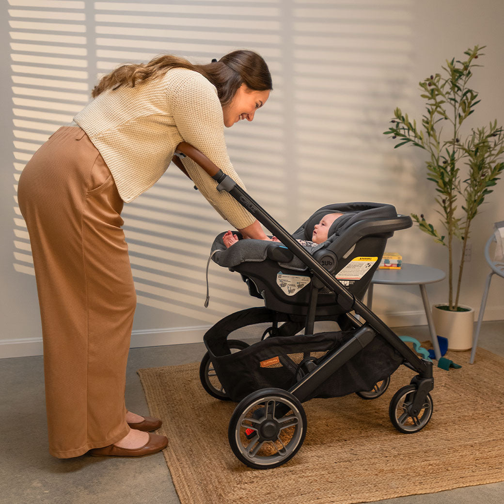 Cruz V3 Stroller