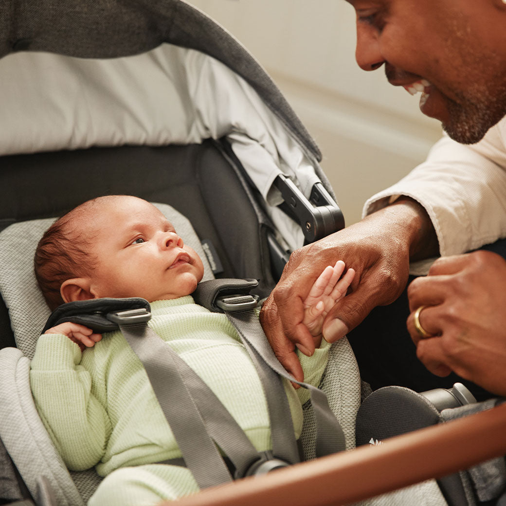 Cruz V3 Stroller