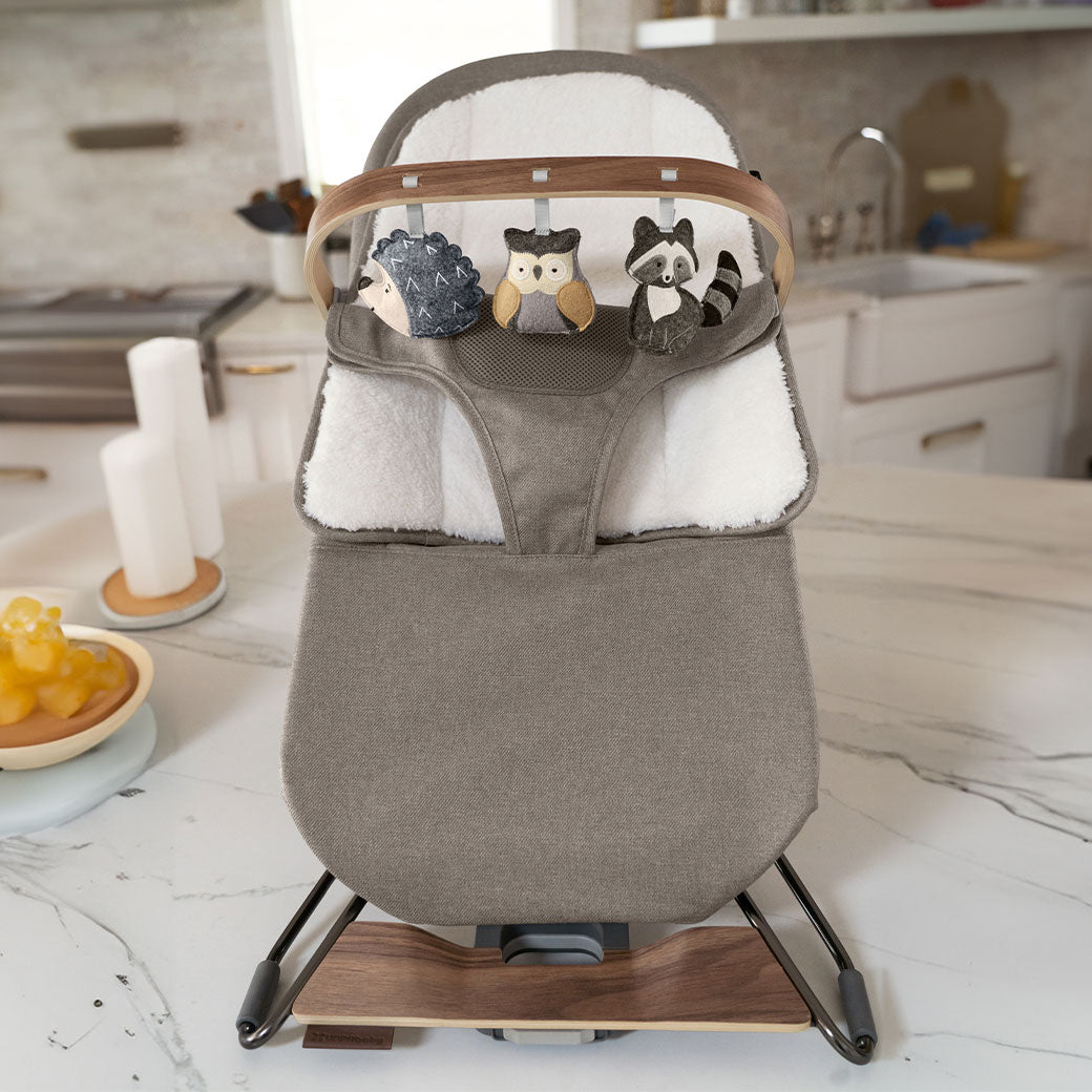 Mira 2-in-1 Bouncer & Seat