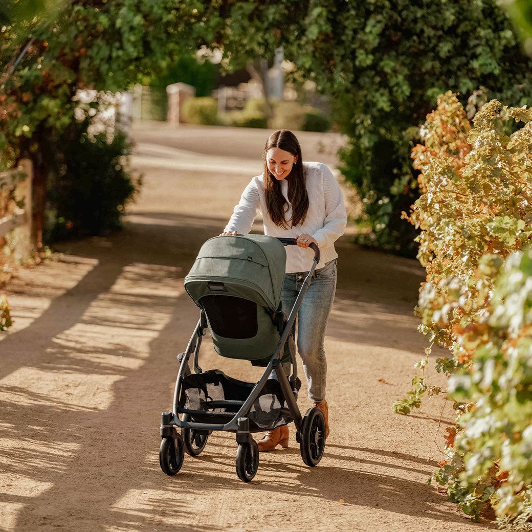 Vista V3 Stroller