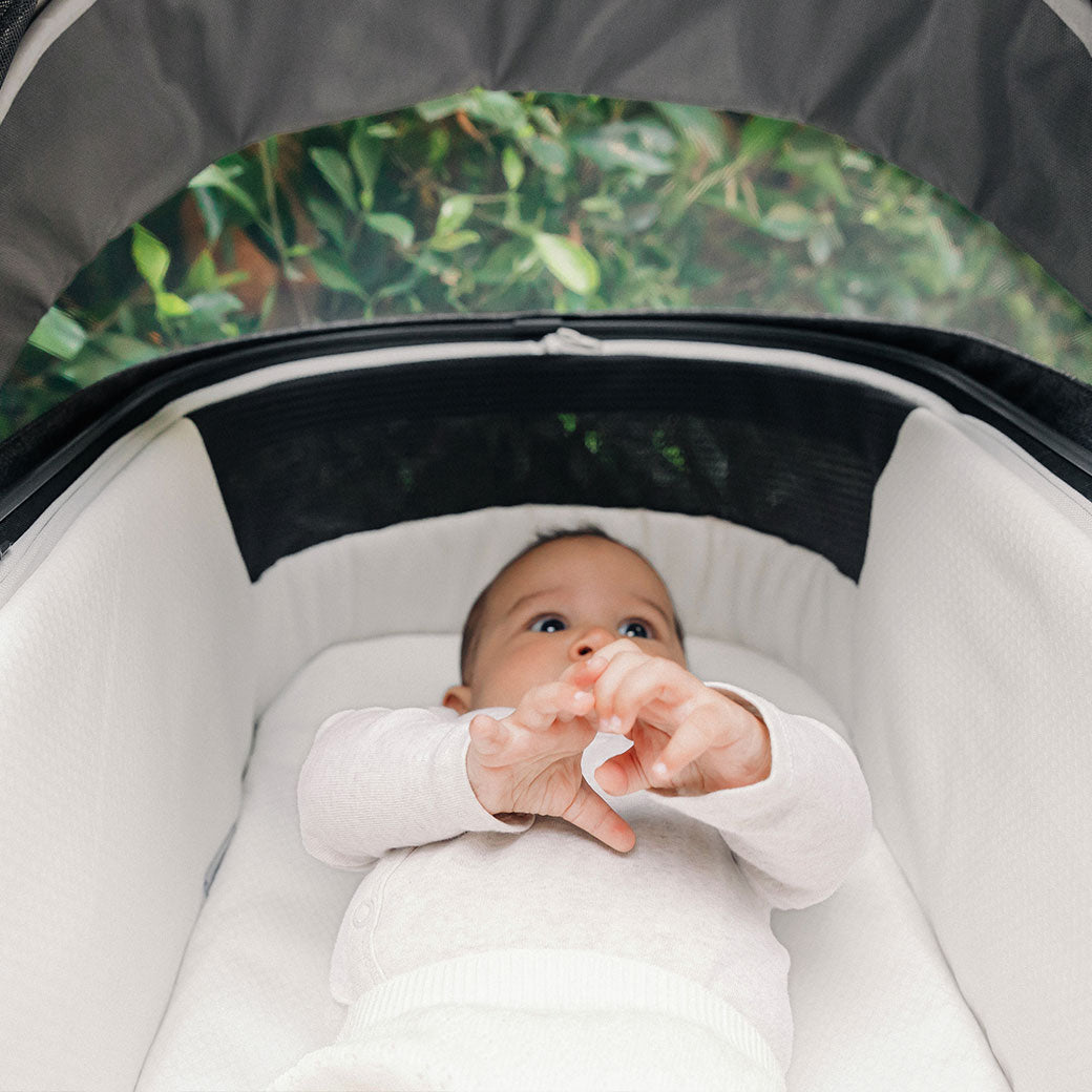 Bassinet V3
