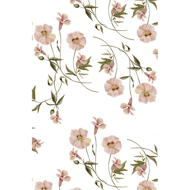 Primrose Wallpaper
