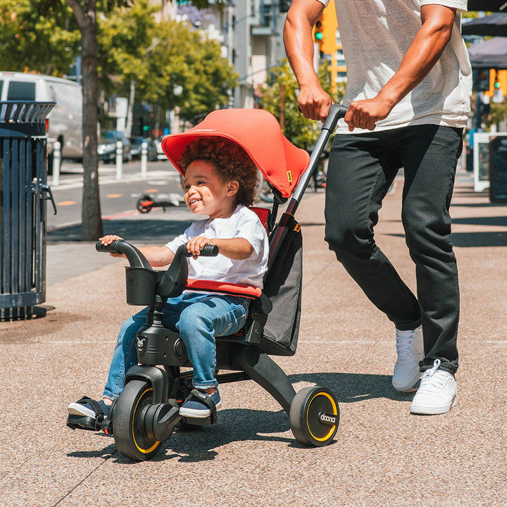 Liki Trike S3
