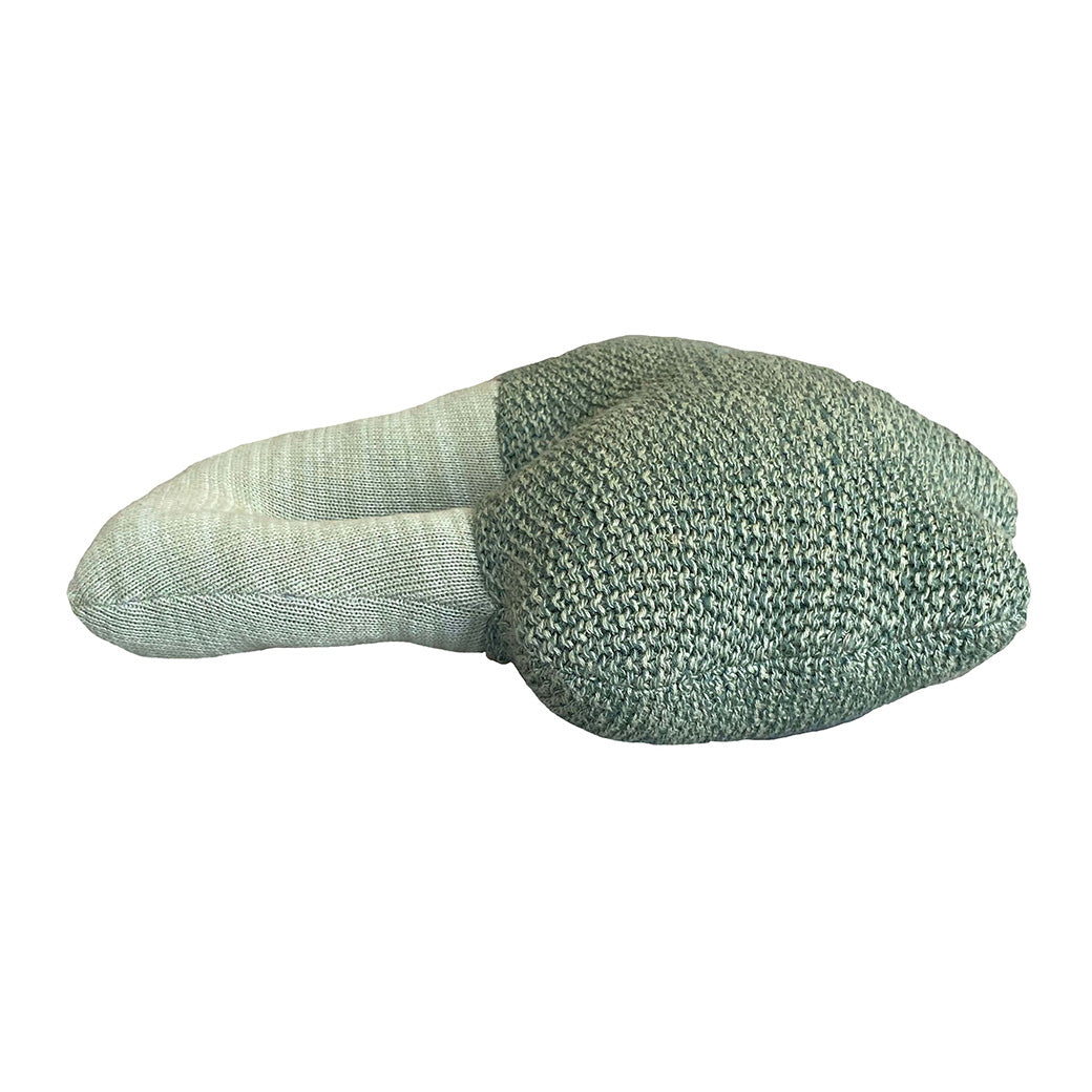Brucy The Broccoli Knitted Cushion