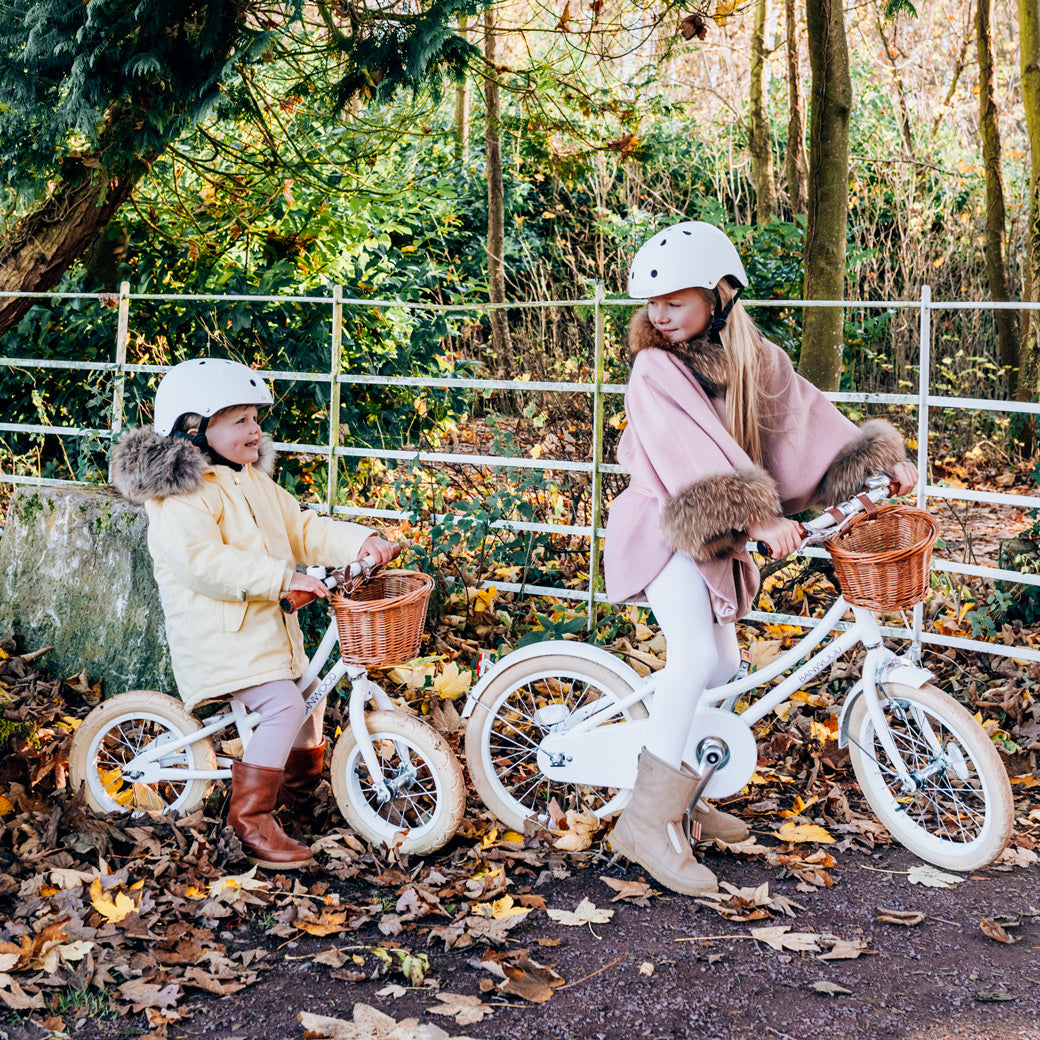 Classic Bicycle