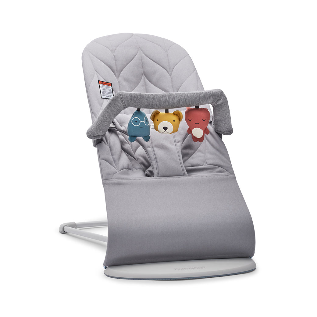Toy For Bouncer